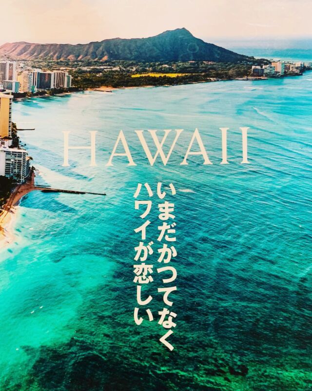 Toku Hawaii Tour and Surf - Toku Hawaii Tour and Surf